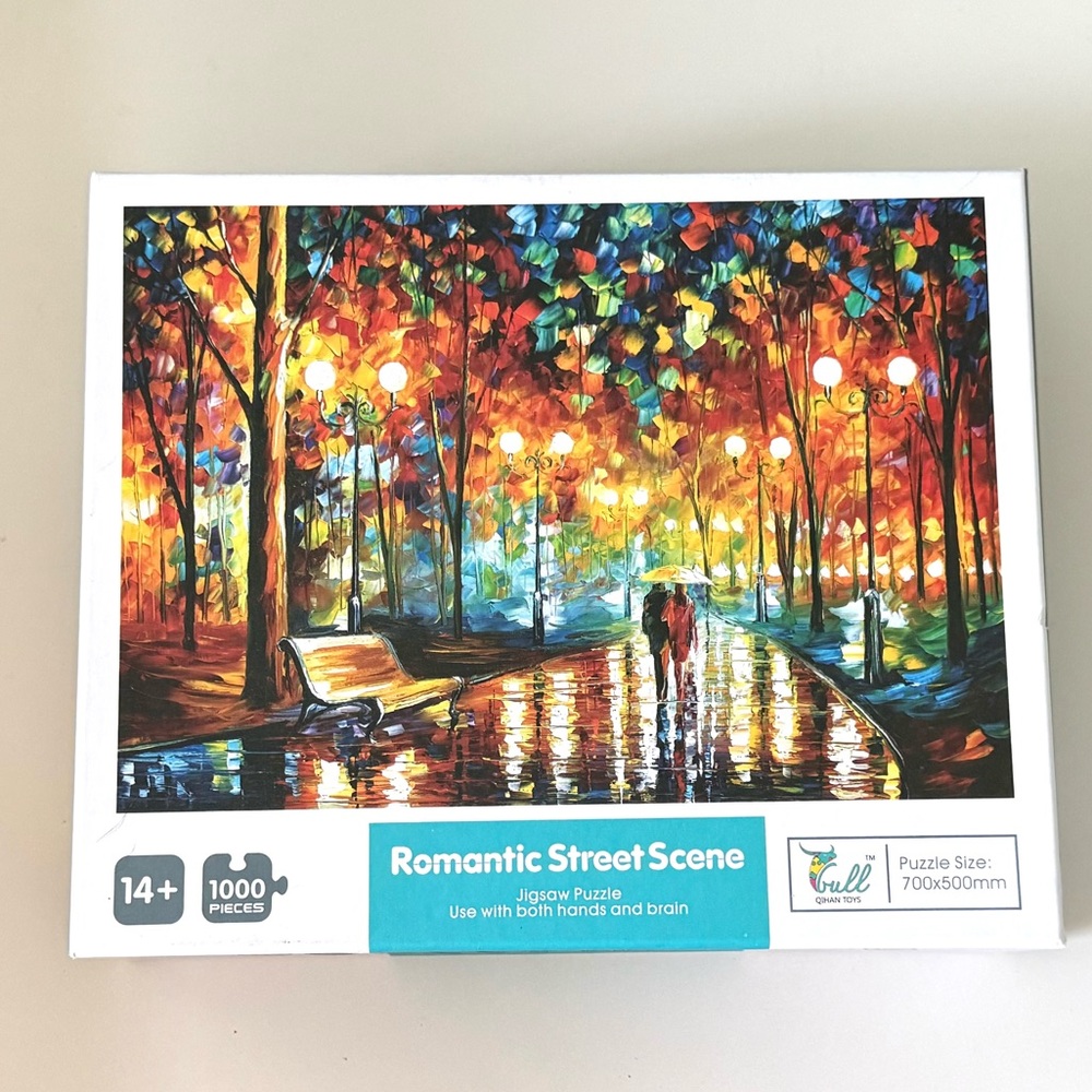 Romantic Street Scene 1000 Piece Puzzle Gull Qihan